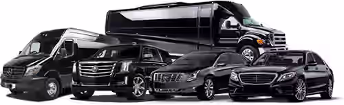 weston ma limo service