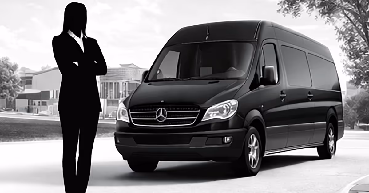 chauffeured limo service